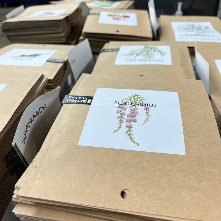 Potting Shed Creations, Ltd. - Wholesale Plant Seeds - Garden in a Bag | Snapdragon | Flower Lover | Best Seller