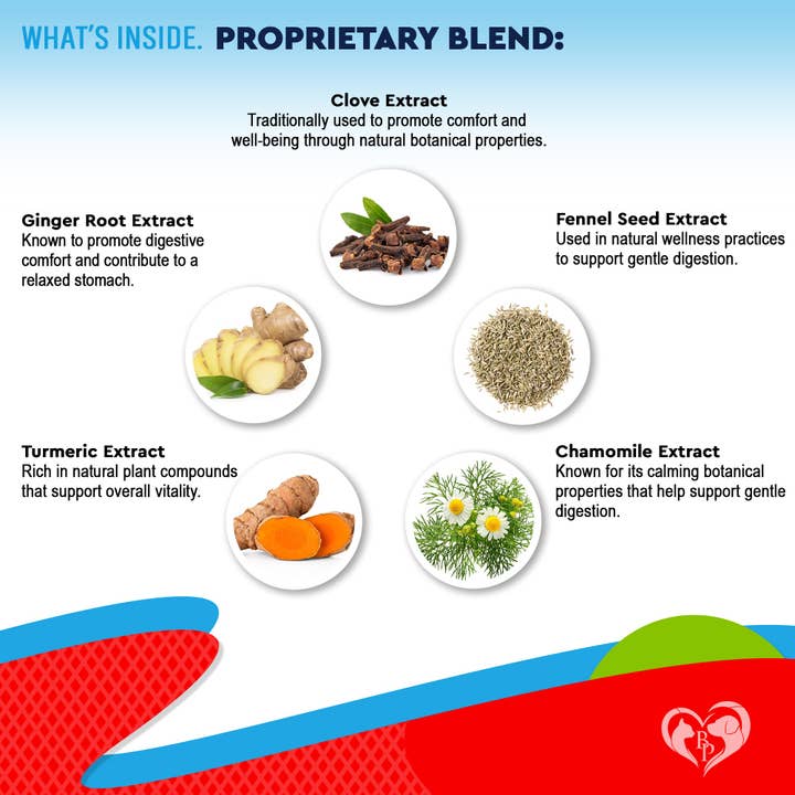 Beloved Pets - Wholesale Pet Supplement - Cat/Dog - Natural Cat & Dog Intestinal Defense - Herbal Cleanse Broad 2