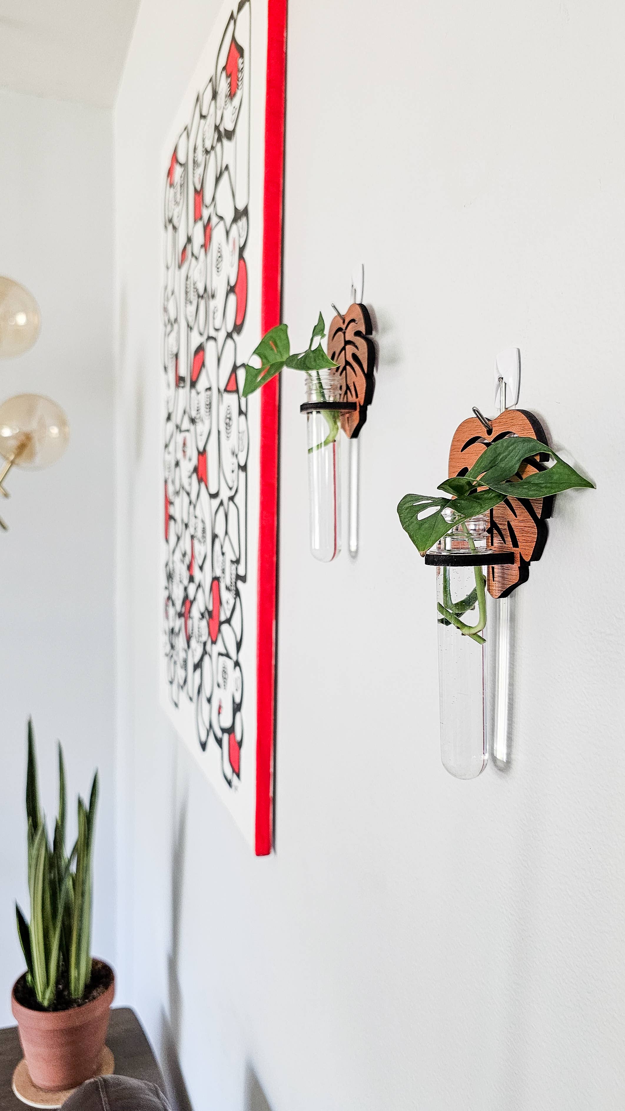 Leaf & Node - Wholesale Hanging Planter - Wall Hanging Propagation Station - Monstera Test Tube Holder6