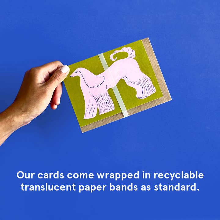 Evermade - Wholesale Gift Bag - Compostable Bags (swap bands with starch cellophane sleeves)