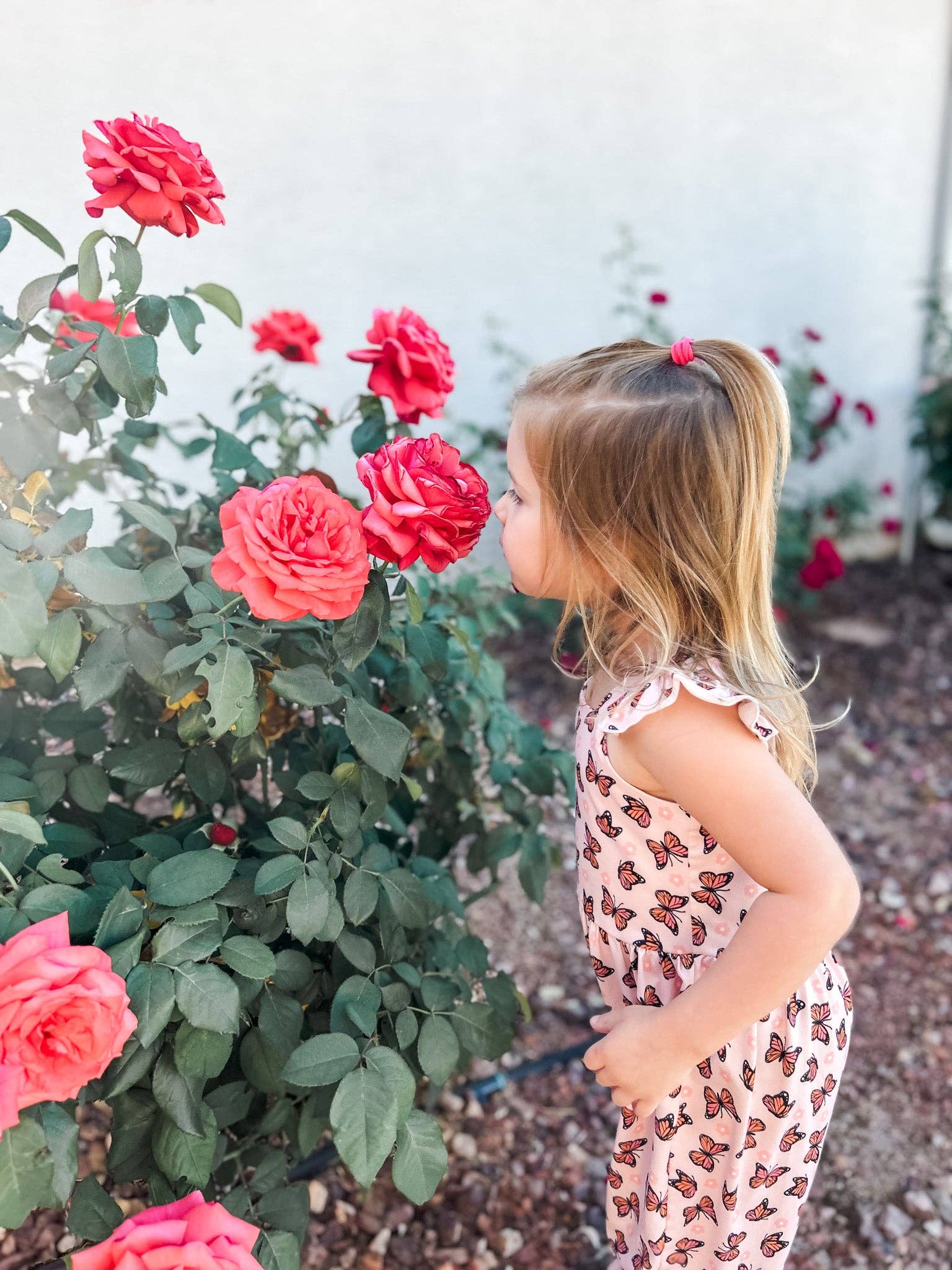 Celebrate Your Tribe - Wholesale Jumpsuit - Kids - Butterfly Garden Jumpsuit2