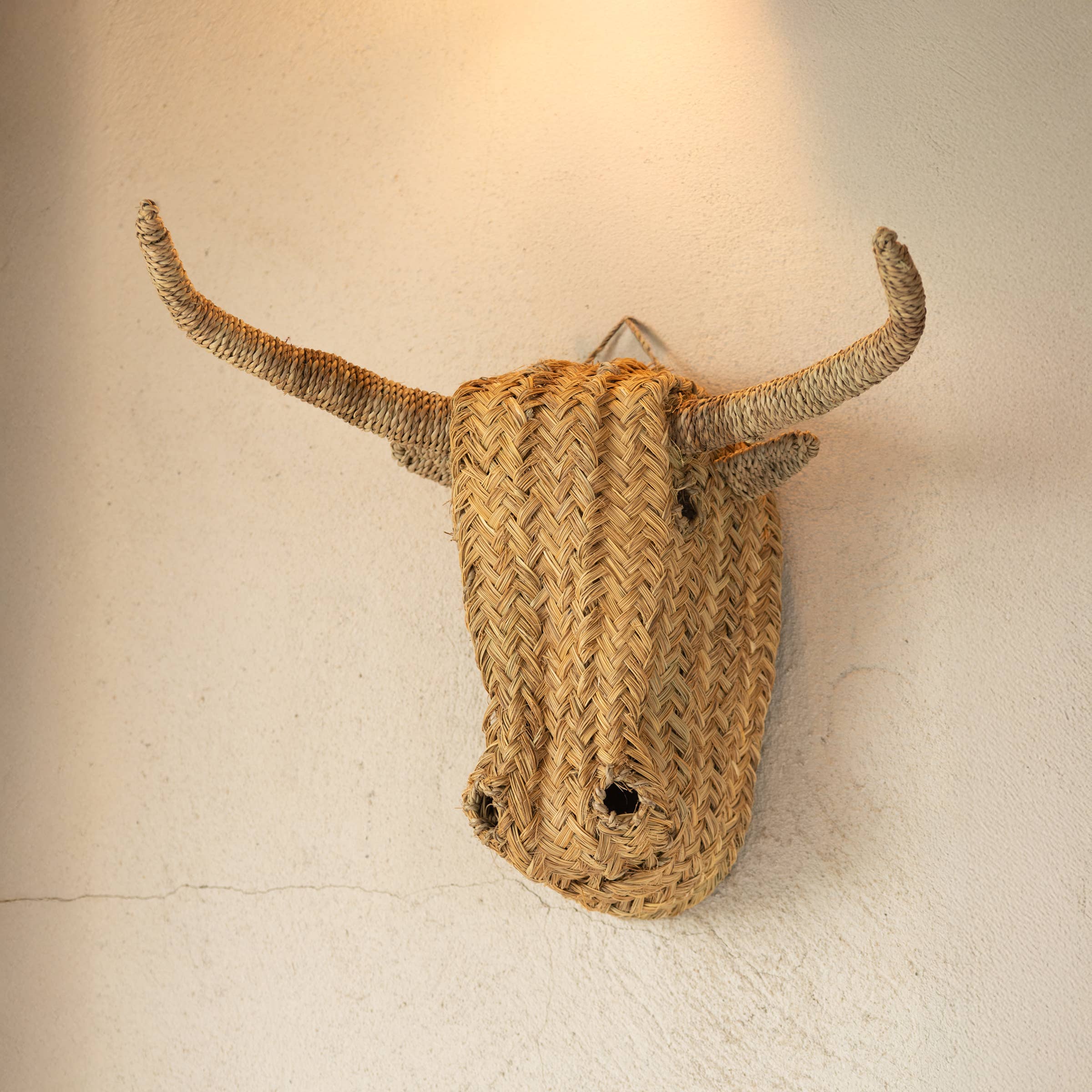 Collection Maroc - Wholesale Wall Accent - Bull Head Wall Decor - 55 cm0