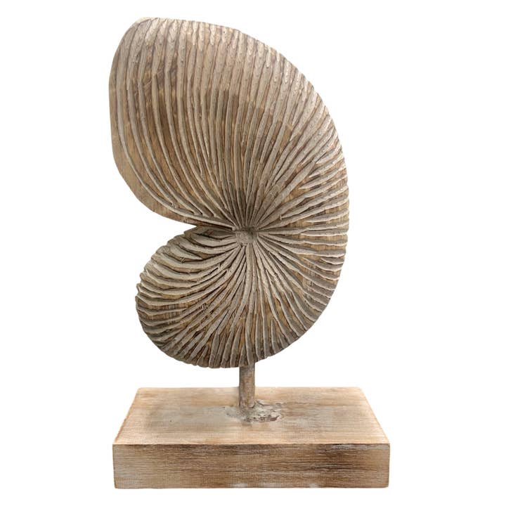 Bamboo Source Tropical Decor - Wholesale Decorative Tabletop Object - Wooden Nautilus Statue - Assorted