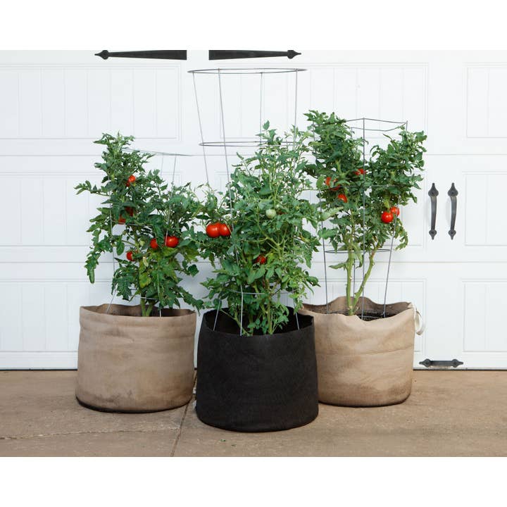 Smart Pots - Wholesale Plant Pot - Natural Smart Pots 3 Gallon: Multi-Purpose Small