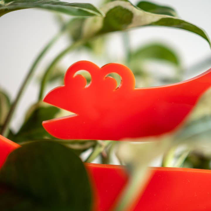 Diplodocus dinosaur circle plant stake - OPAQUE COLOURS for wholesale by designosaur