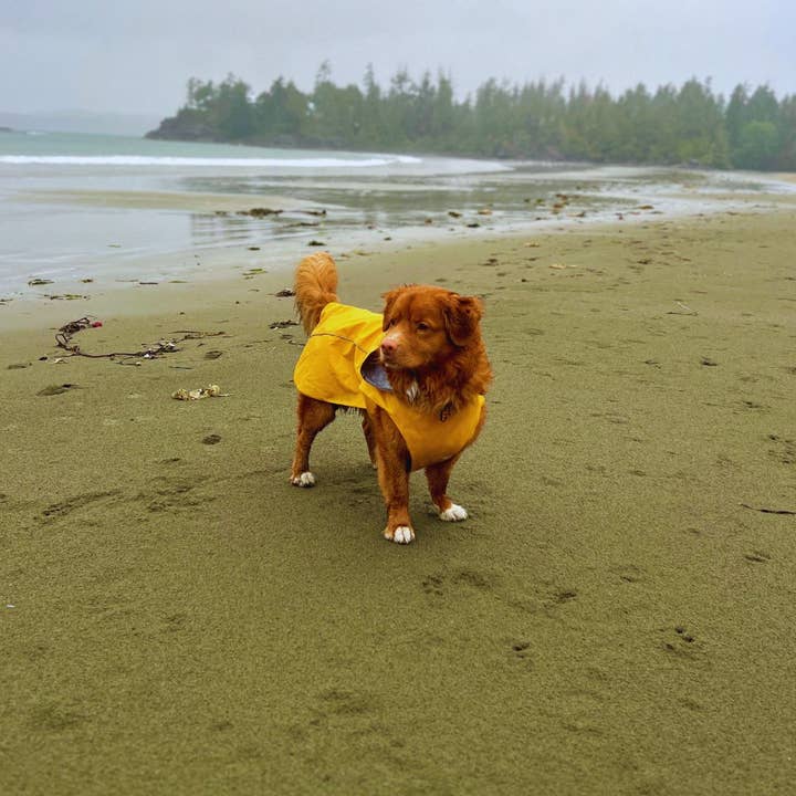 Rocky Mountain Dog - Wholesale Pet Jacket - Dog - Tofino Rain Jacket 3