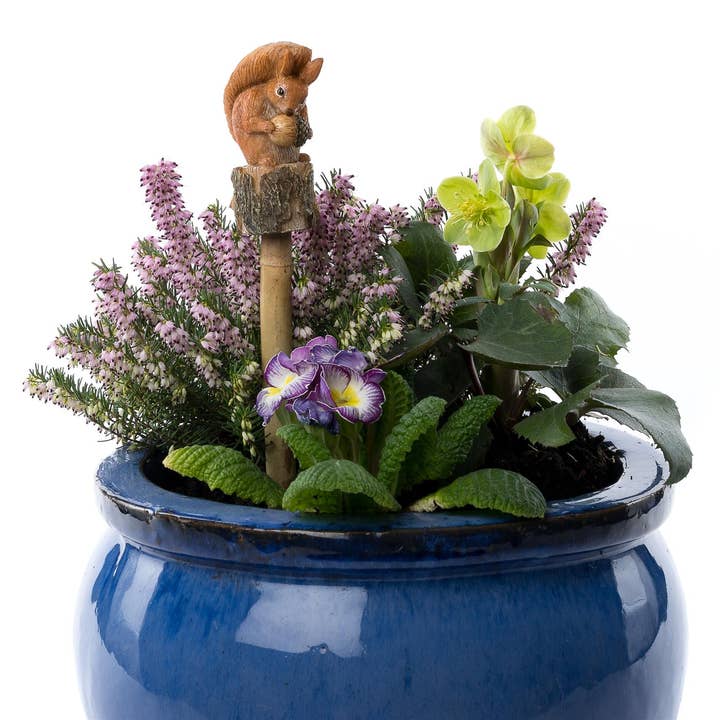 Adorno de bastón o estaca de nuez de ardilla de Beatrix Potter para venta al por mayor de Jardinopia UK