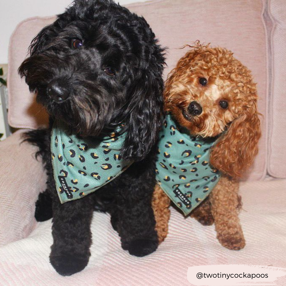 Cocopup London - Wholesale Hondenbandana - Hond - Kaki luipaard bandana6