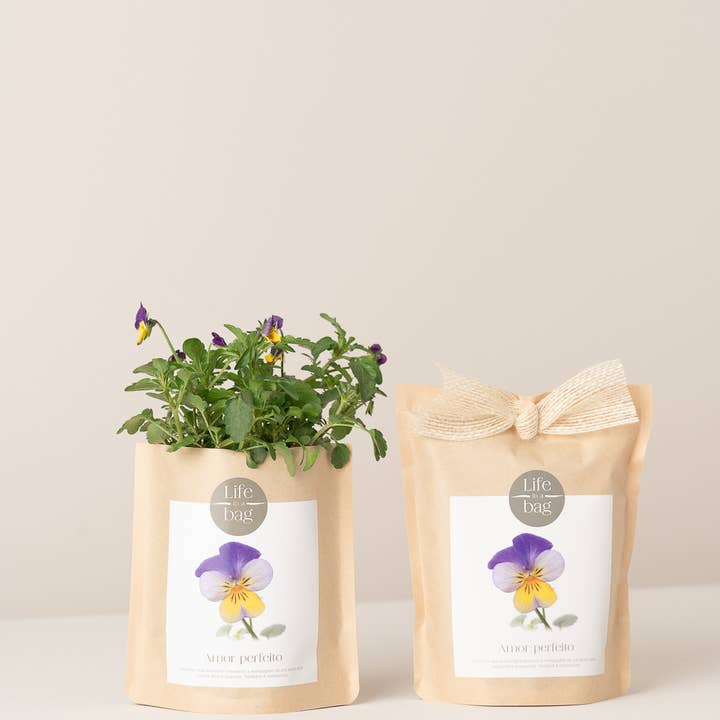 Grow Bag Stiefmütterchen und andere Ergebnisse für spring pfannen im Großhandel. Kostenlose Rücksendungen und 60-Tage-Zahlungsziel auf Faire im Trend auf Faire.