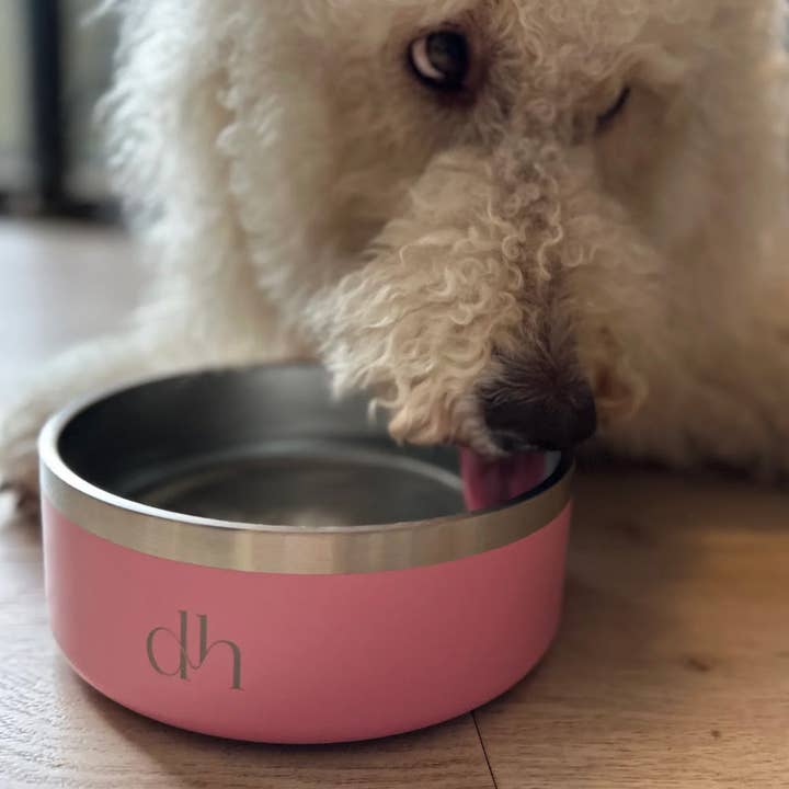 Doodle Heads - Venta al por mayor Comedero - Gatos y perros - Cuenco para comida y agua DH «YETI STYLE» con forma de cabeza de doodle, cuenco de acero inoxidable de primera calidad para mascotas