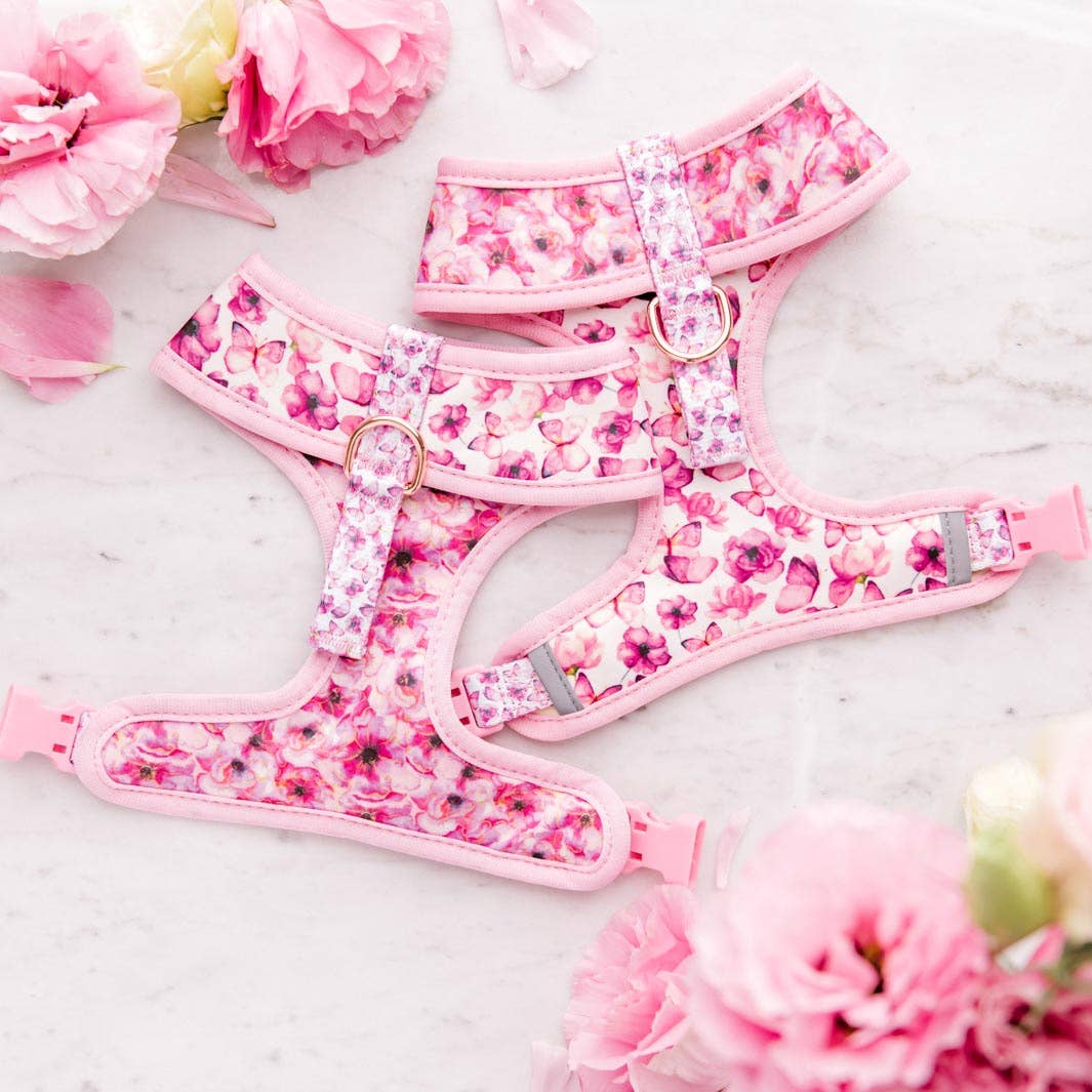 Pawfect Pals - Vente Harnais – chien - You Give Me Butterflies - Harnais réversible pour chien3