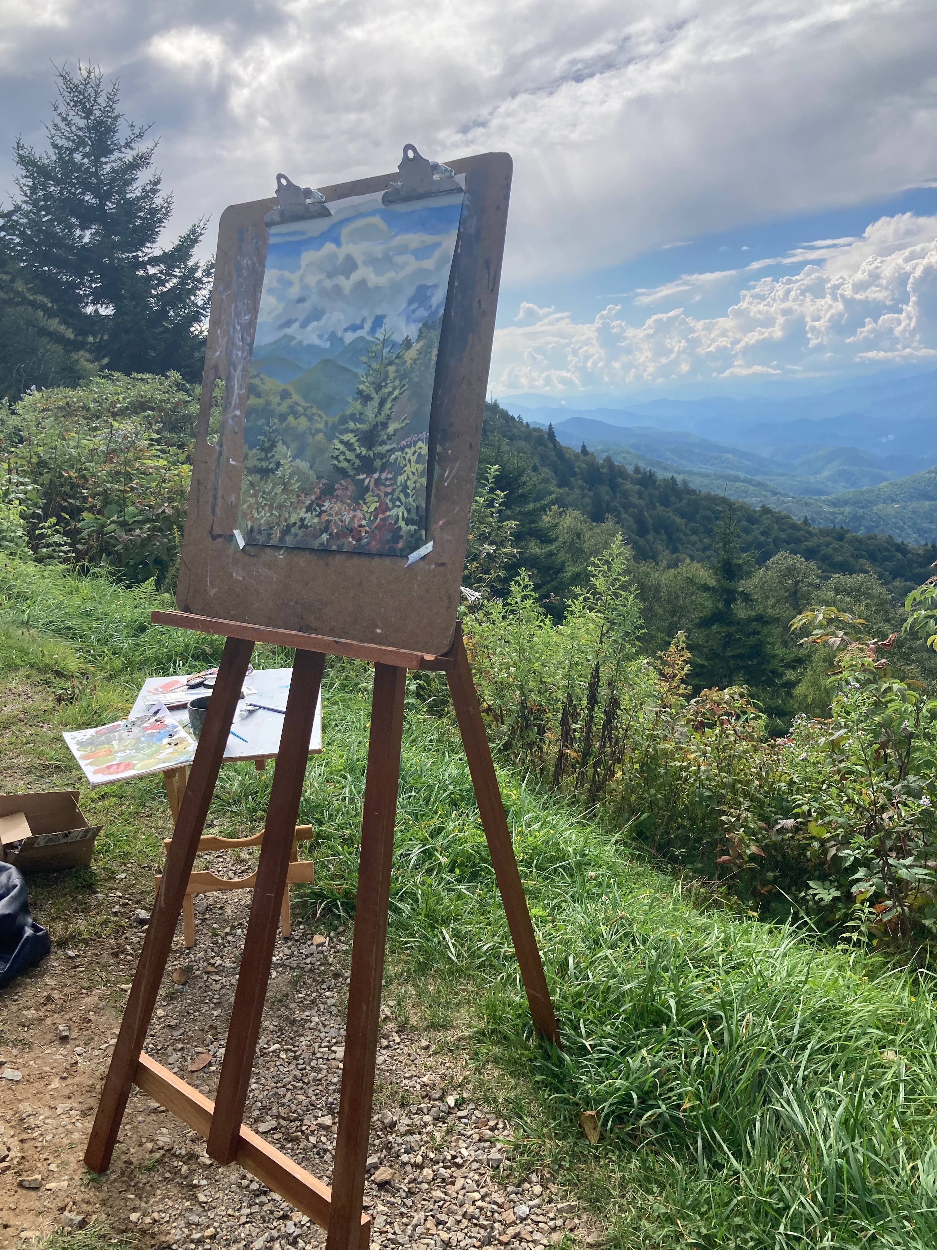 Esther Sketch - Wholesale Kunstprint - Blue Ridge Parkway 8x10 opdruk6