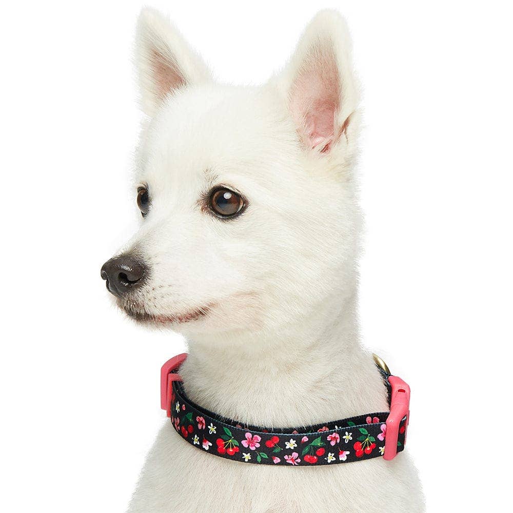 Blueberry Pet - Wholesale Pet Collar - Dog - Summer Floral Dog Collar in Pastel Colors for Girl Dogs10