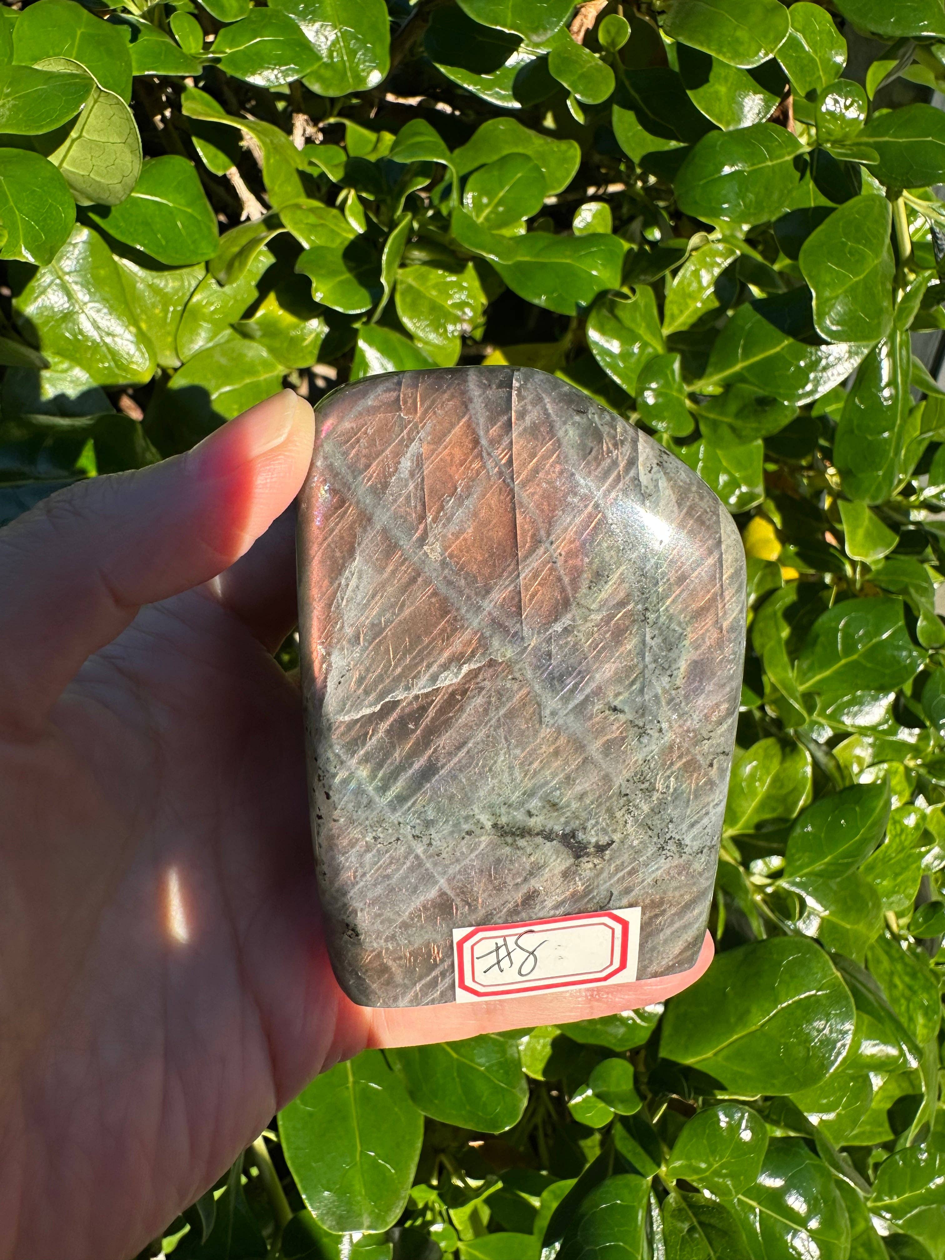 Moon Rituals – wholesale Spiritual stone/crystal – Large Purple Labradorite Free Form, Christmas Crystal Gift #81