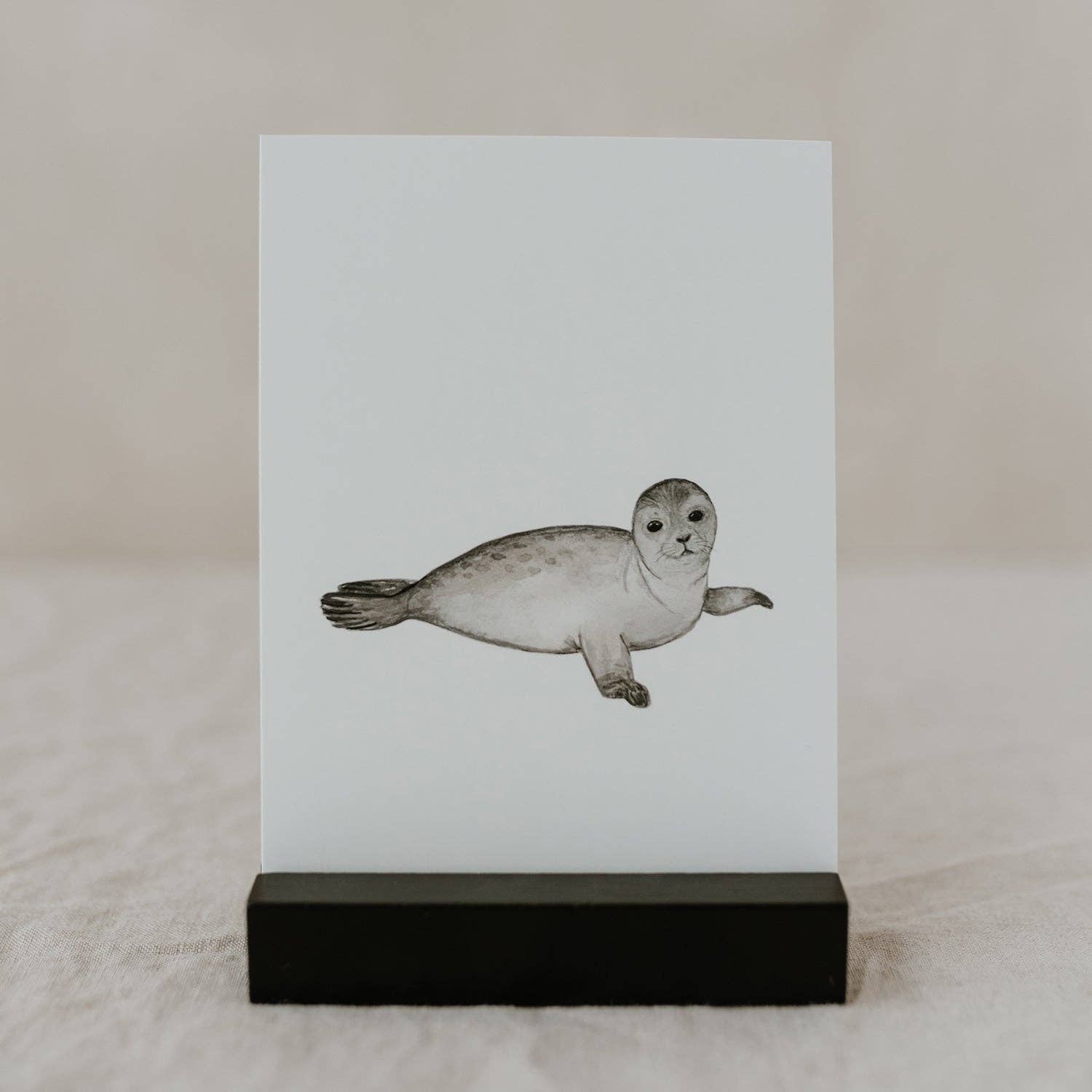 Eulenschnitt - Vendita all'ingrosso Biglietti di auguri generici - Cartolina ad acquerello Foca (CF = 10 pezzi)1