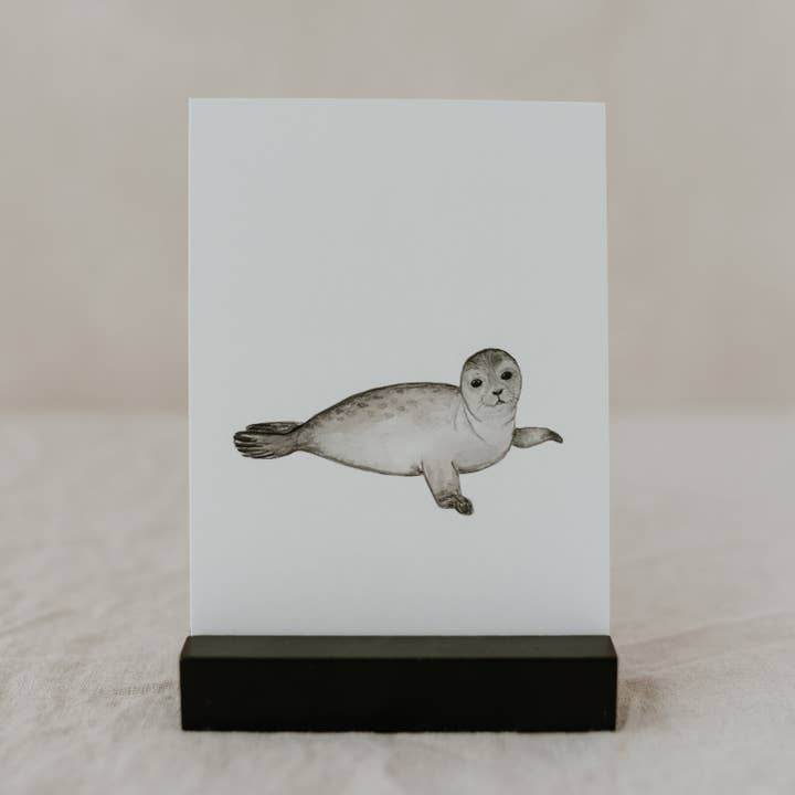 Eulenschnitt - Vendita all'ingrosso Biglietti di auguri generici - Cartolina ad acquerello Foca (CF = 10 pezzi)1