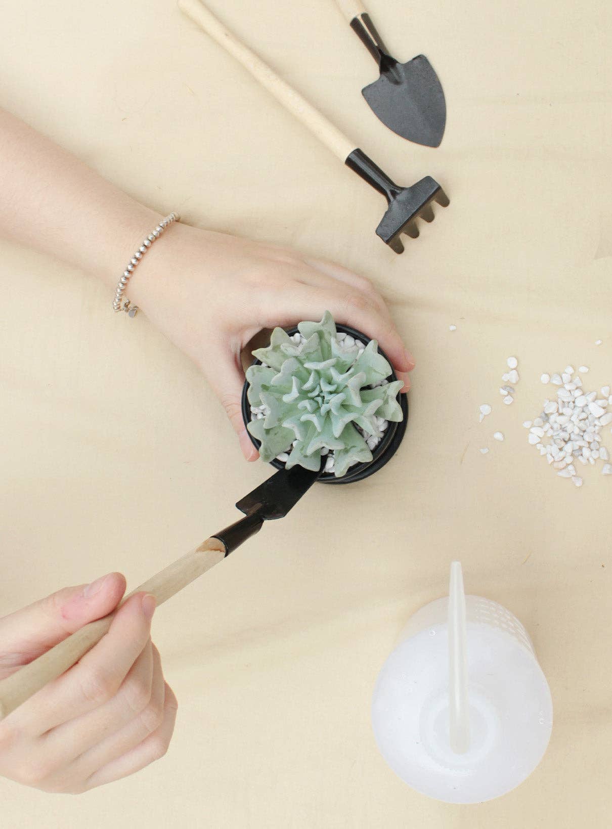 Best Plant Friend - Vente Arrosoirs - Bouteille d'arrosage en plastique de 500 ml pour plantes succulentes et cactus3