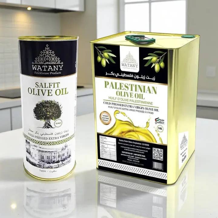 Salfit Palestinian Olive Oil for wholesale by Watany palestinian products