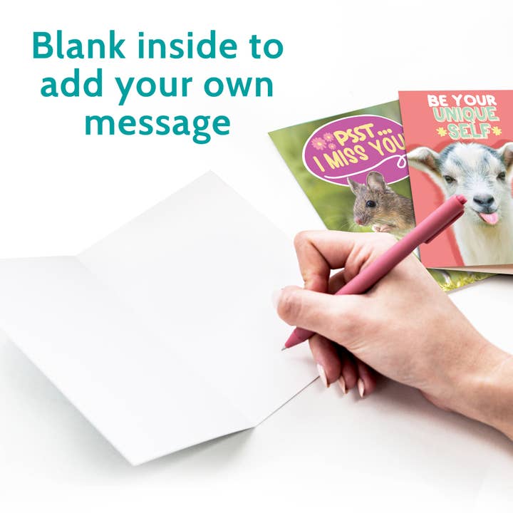 T Marie - Wholesale Everyday Greeting Card - 24 Funny Greeting Cards Set with Envelopes - 24 Designs