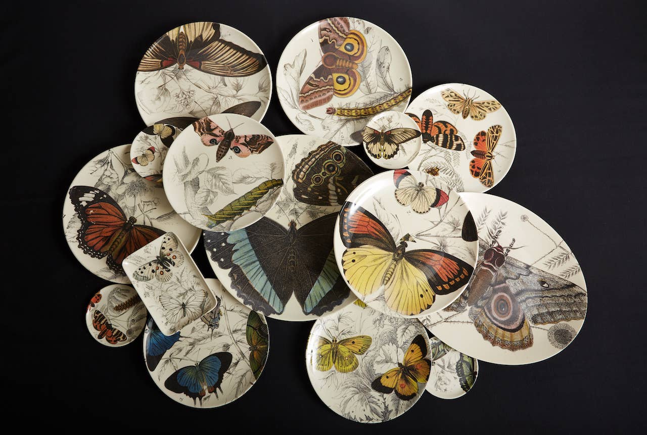 Siren Song - Wholesale Serving Tray - Specimen Large Oval Tray2