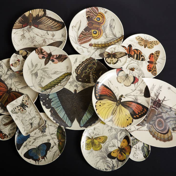 Siren Song - Wholesale Serving Tray - Specimen Large Oval Tray2