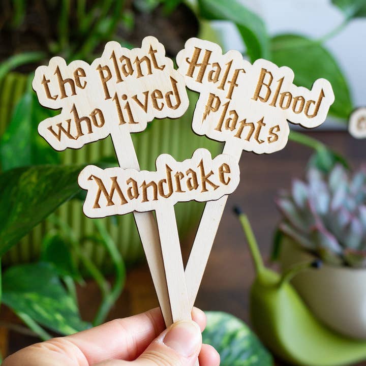 Harry Potter Wooden Plant Markers for wholesale by The Print Pantry