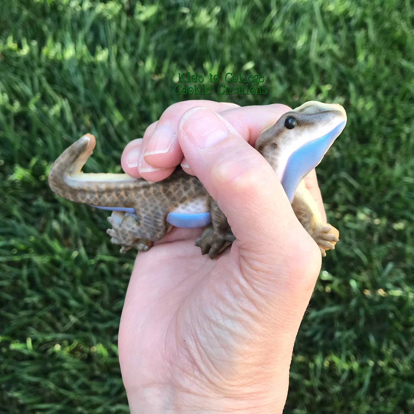 Summitbaking - Vente Emporte-pièce - Palm Pets Ensemble d'emporte-pièces Reptile4