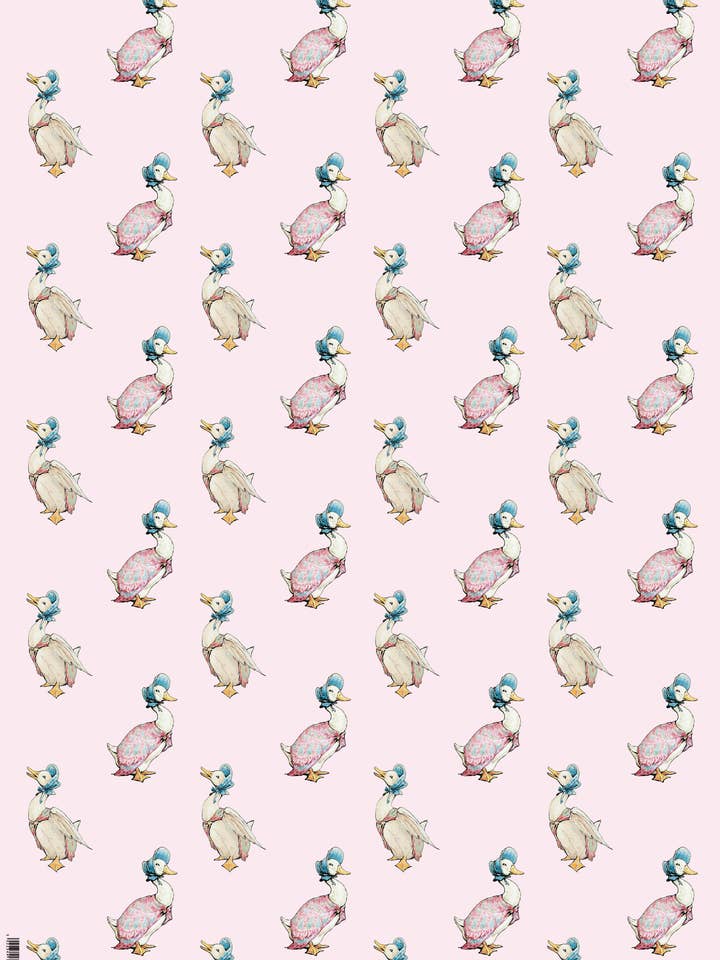 SINGLE SHEET GIFTWRAP JEMIMA PUDDLE DUCK HYPE for wholesale by Notes & Queries, Inc.