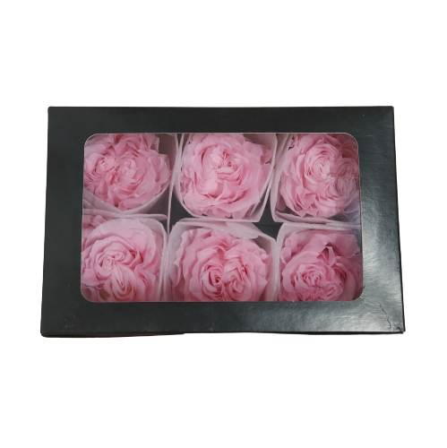 Concari.flores Preservadas - Wholesale Artificial Flowers - PRESERVED GARDEN ROSE0