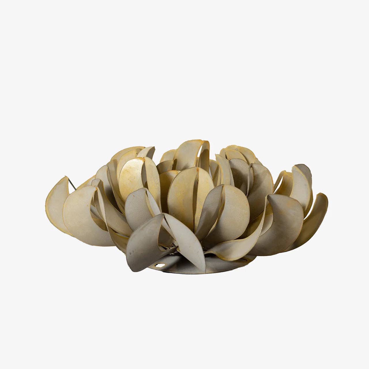 Desert Steel - Vente Plantes artificielles - Succulente Topsy Turvy2