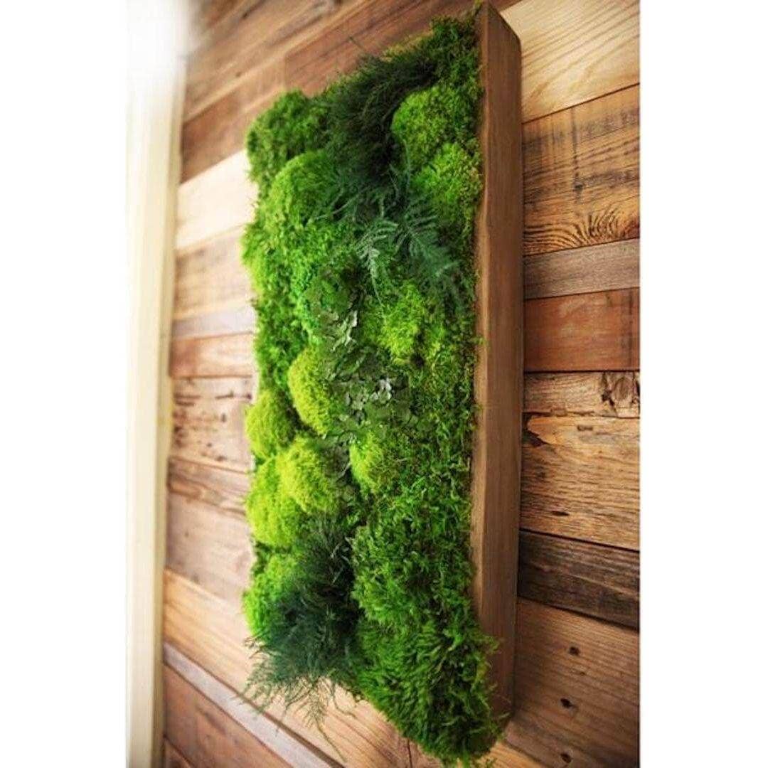 Artisan Moss – Großhandel Malen/Zeichnen – Hochwertiges Moos- und Farnpflanzen-Gemälde, handgefertigt, 40” x 18”1