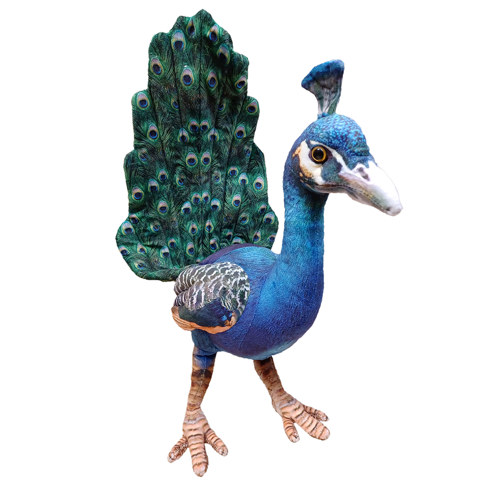 Texas Toy Distribution - Wholesale Stuffed/Plush Toy - Kids & Baby - Peacock 18" Beautiful Bird Plush Stuffed Animal2
