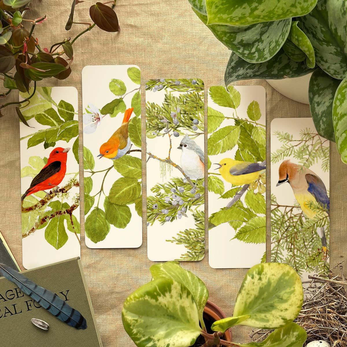 Felix Doolittle - Wholesale Bookmark - Birdsong - Bookmarks - Set of 52