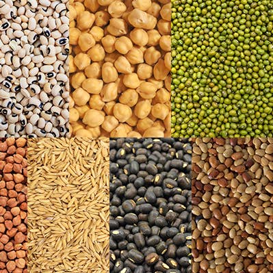 Shastha foods - Wholesale Nuts - shastha traditional navadhanyam (9 Grains)0