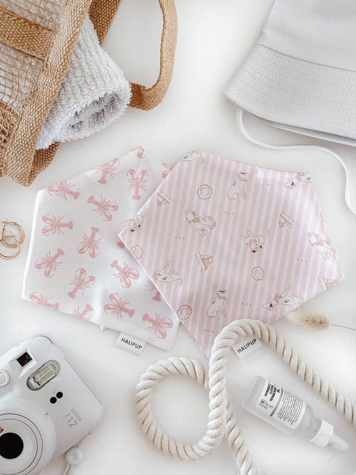 Coastal Pup Dog Bandana for wholesale by Halipup