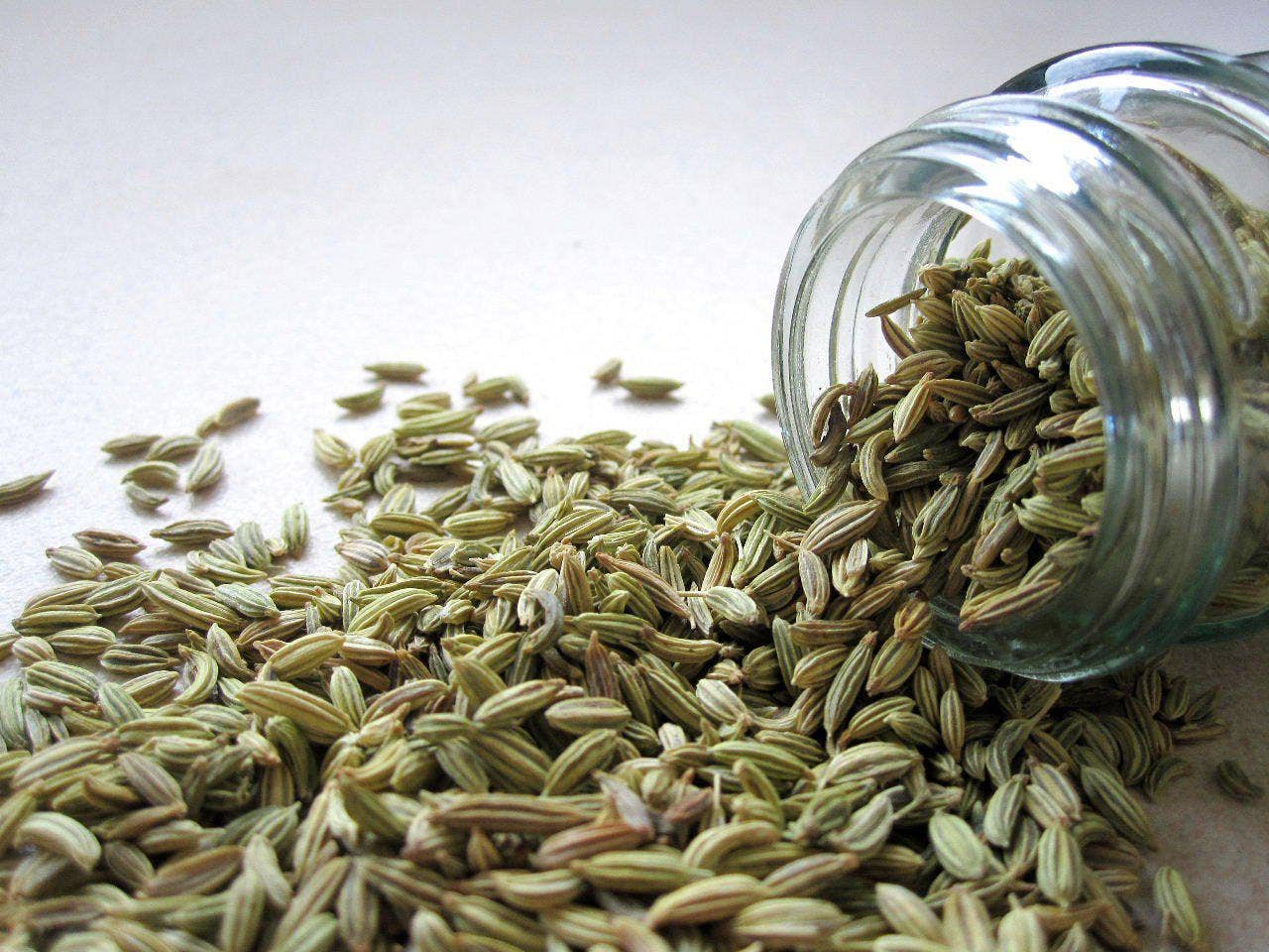 Cibobenessere - Wholesale Plant Seeds - FENNEL SEEDS1