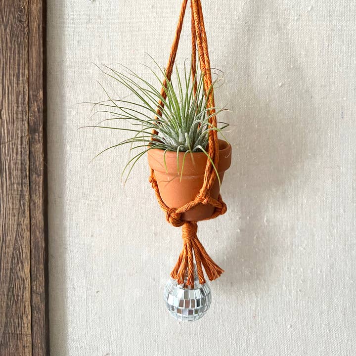 Dapper House Menagerie - Wholesale Hanging Planter - Pablo - Disco Air Plant Hanger with 1" Pot5