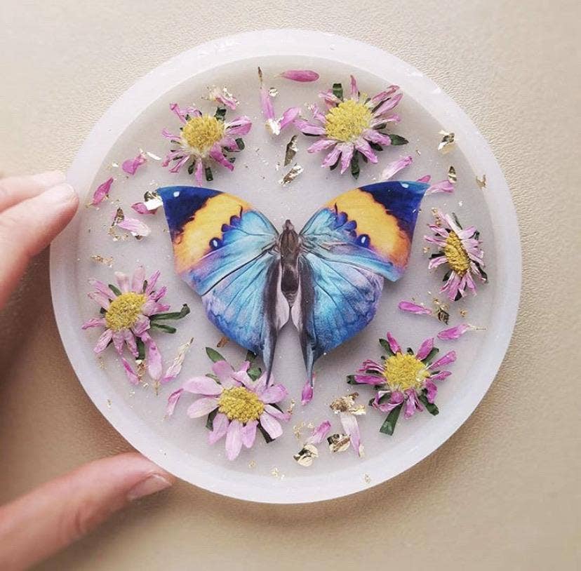 Moth and Myth - Wholesale Cutouts - 'Dawn' Butterfly Set6