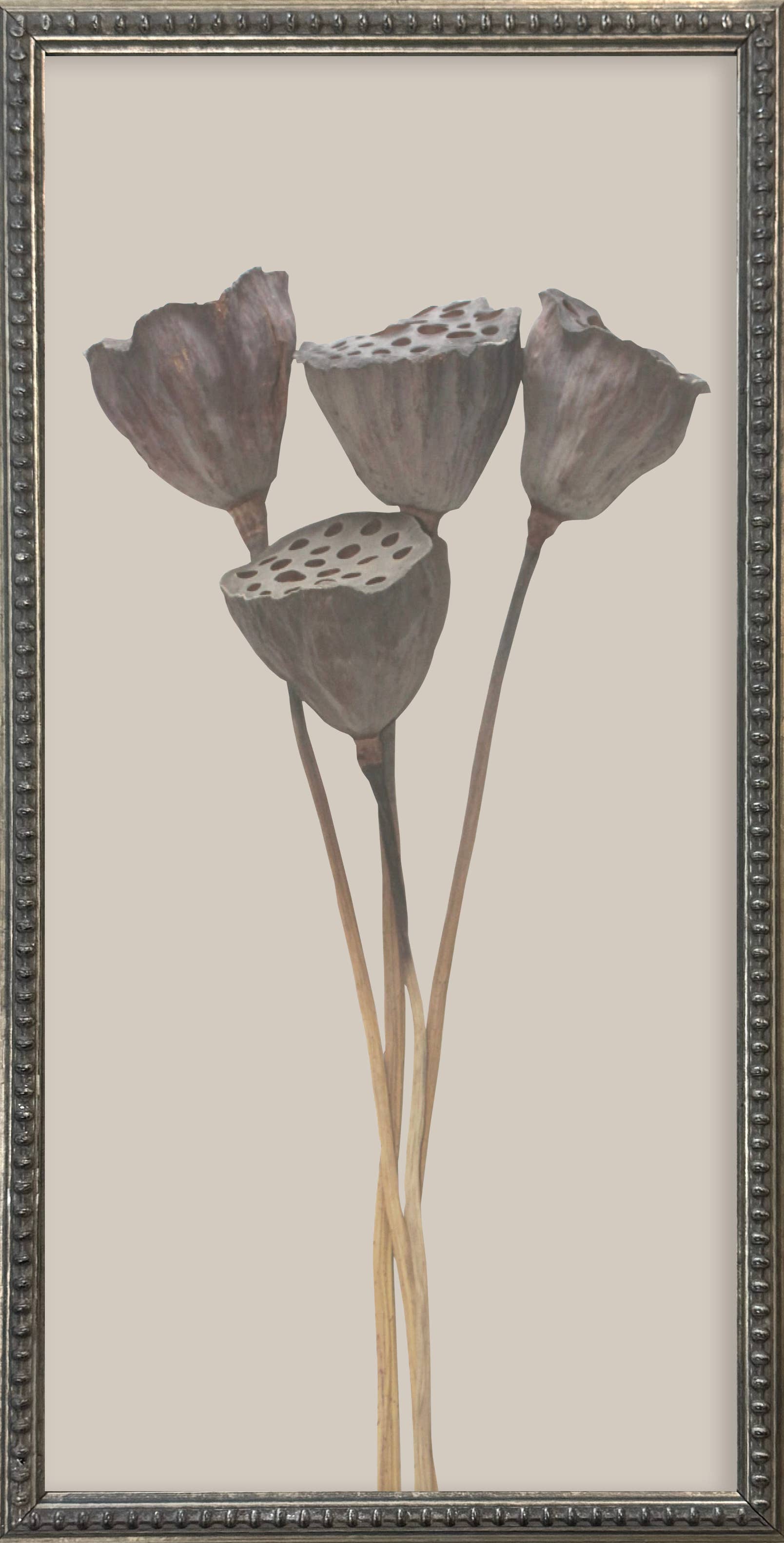 Brayden and Brooks – wholesale Gallery wall set – 12x24 Textured Botanicals Silver Bead Gallery Frame4