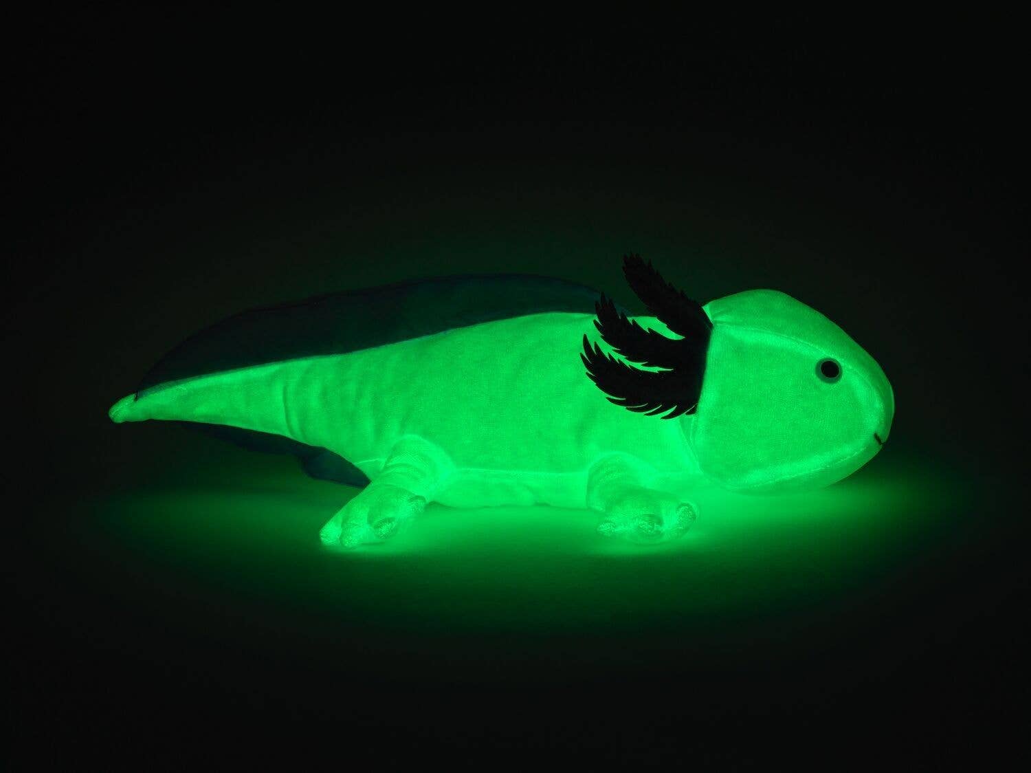 Uni Toys - Wholesale Stuffed/Plush Toy - Kids & Baby -  Axolotl - Glows In The Dark - 32 cm - Cuddly/Plush Toy5