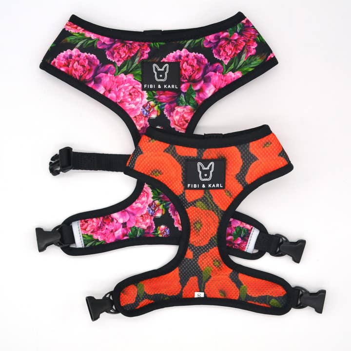 Fibi & Karl - Wholesale Pet Harness - Dog - 2-in-1 dog harness empowerment2