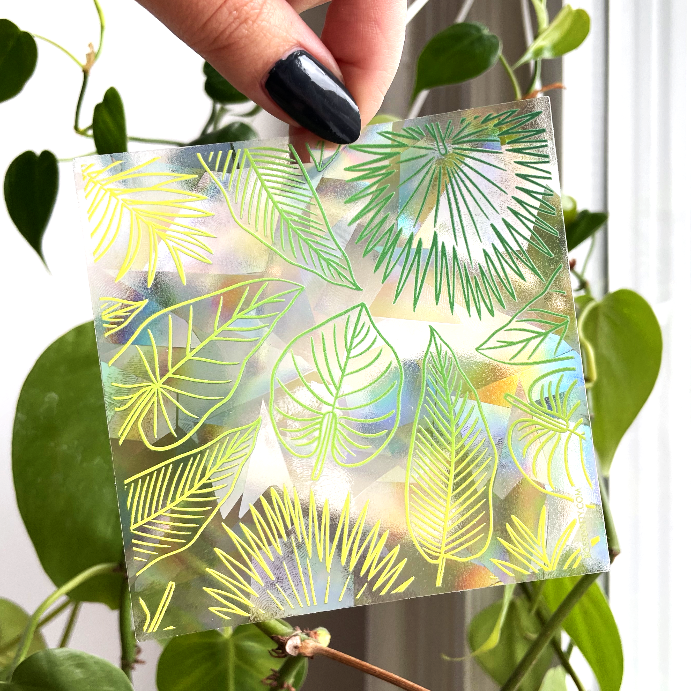 Boss Dotty Paper Co. - Wholesale Suncatcher - Botanicals Rainbow Suncatcher Sticker6