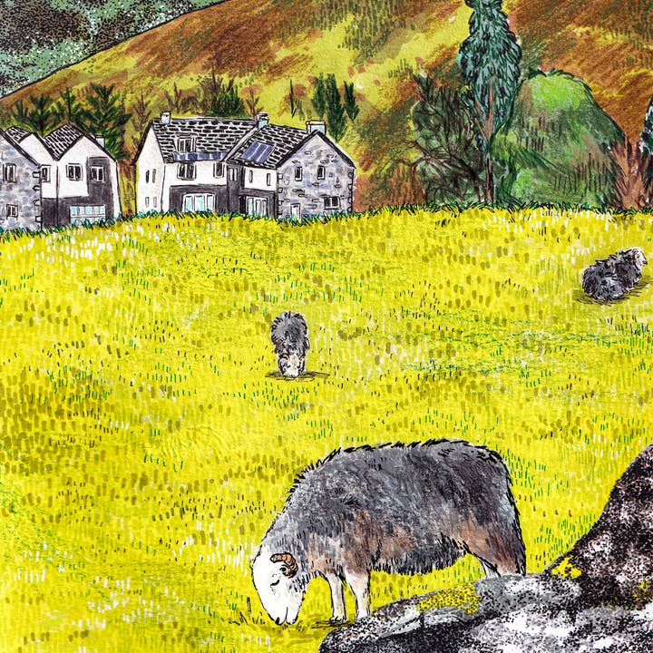 Cartão de Saudação Herdwick Sheep, Grasmere, Lake District por atacado de Hannah Robinson Illustrations