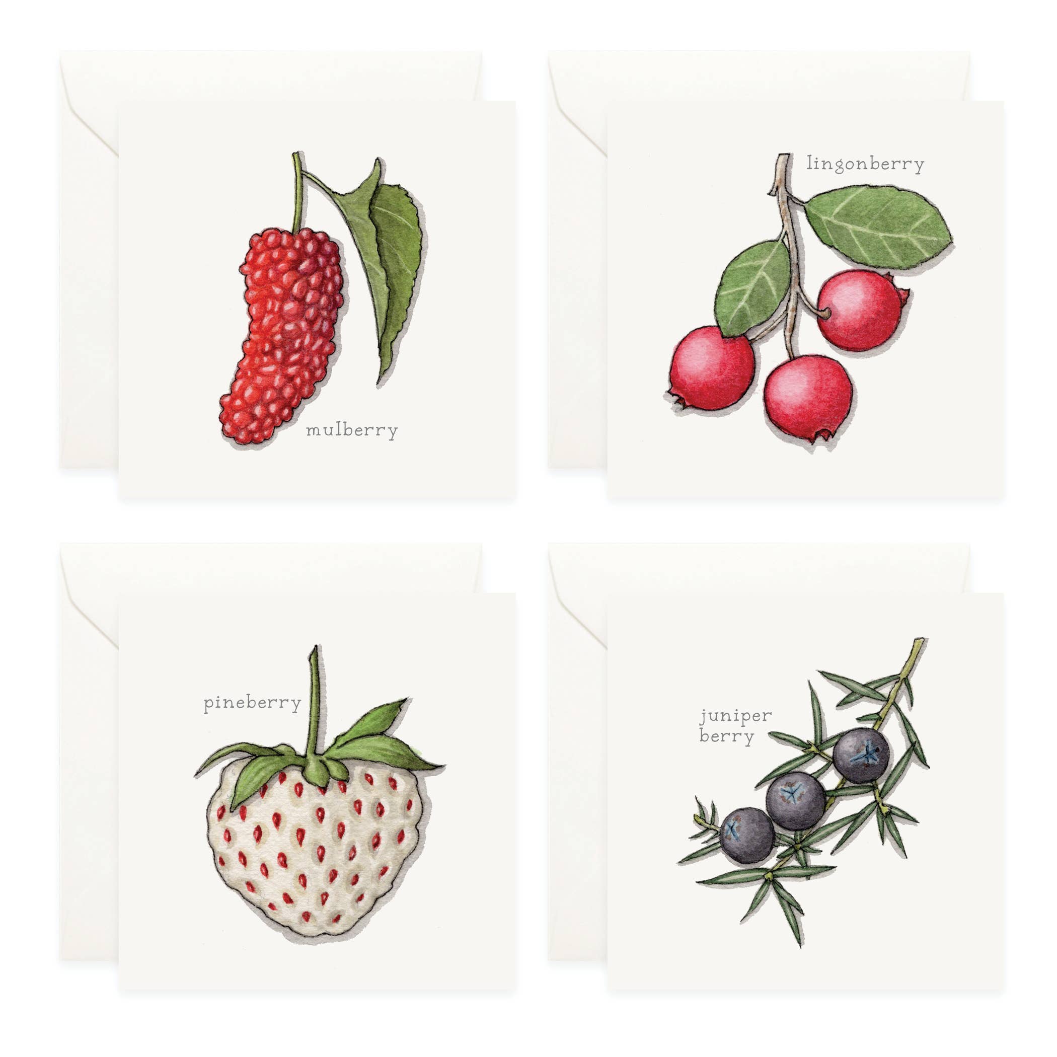 Yeesan Loh - Wholesale Stationery/Notecard Set - Mini Cards Set / Fruit . Berries3
