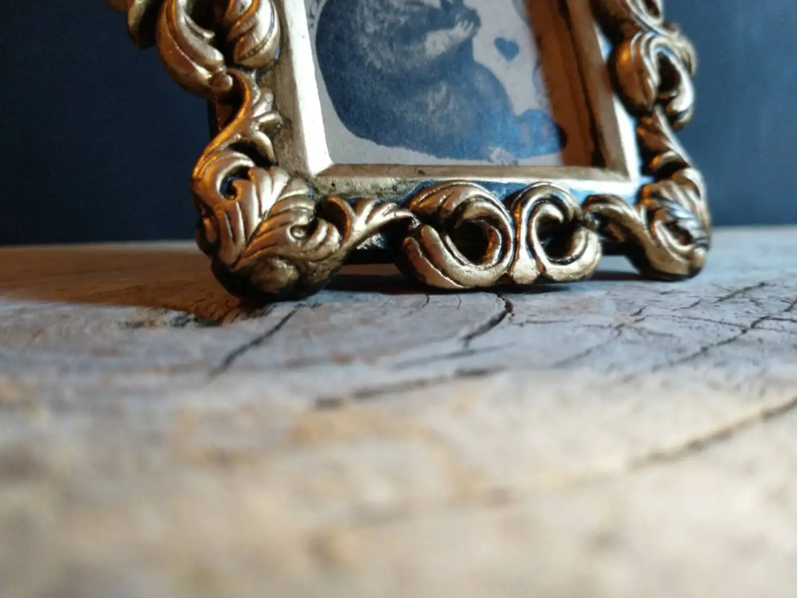 BoyPilot Goods - Wholesale Art Print - Mini Vintage Framed Animal Prints - Raccoon, Frog, Cat5