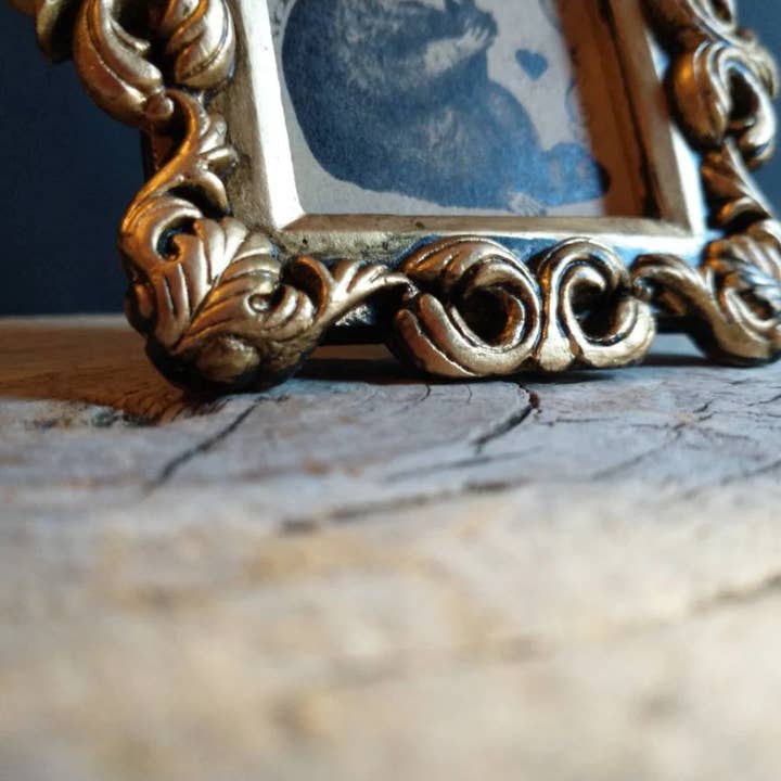 BoyPilot Goods - Wholesale Art Print - Mini Vintage Framed Animal Prints - Raccoon, Frog, Cat5