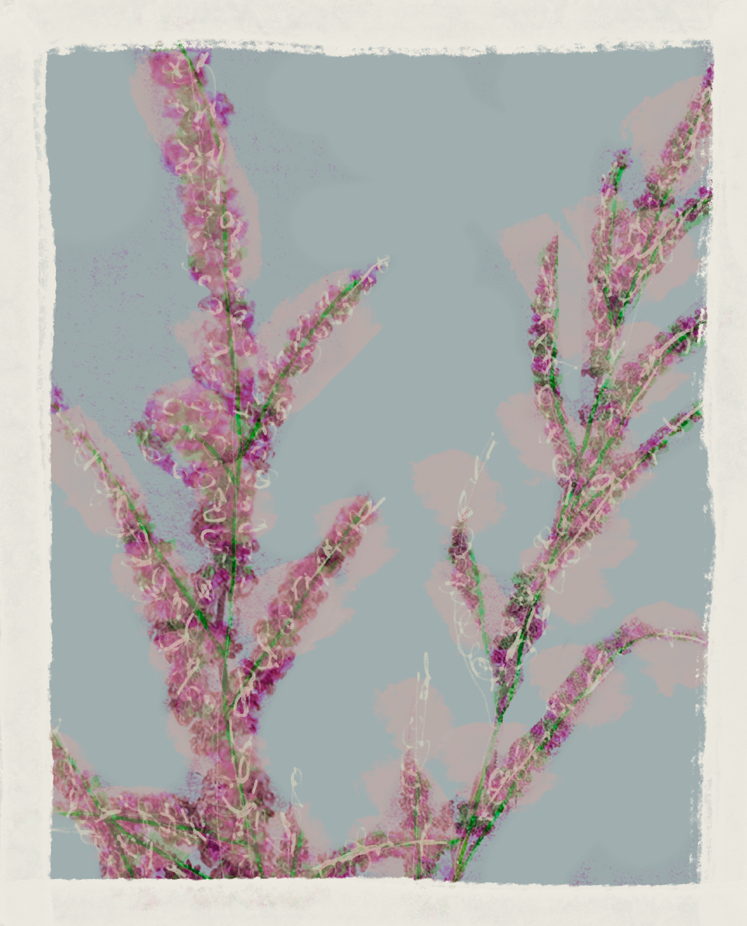 Gather Goods Co - Cards, Coasters, Tea Towels, Art, Mugs - Wholesale Art Print - Heather Fine Art Print1