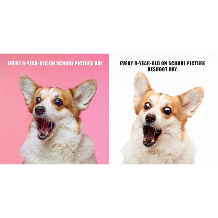 Hachette Book Group - Wholesale Pets - No Thoughts Just Corgis: A Compendium of Cuteness3