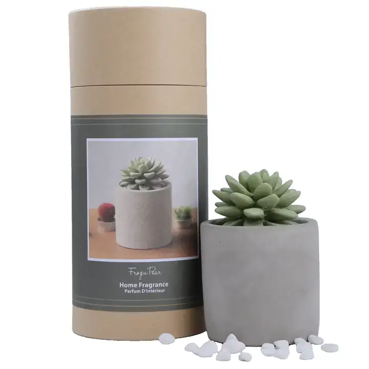 Pretty Valley Home - Wholesale Diffuser Fragrance Refill - Succulent in Planter Diffuser Gift Set for Home Decor1