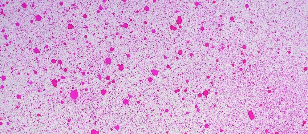 Ecstasy Crafts Distributing - Wholesale Craft Supplies - Cosmic Shimmer Airless Mister28